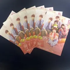 映画 うちの弟どもがすみません　フライヤー