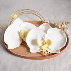 【新品】胡蝶蘭と金水引と金箔　髪飾り 白 卒業式 結婚式 和装 ヘッドドレス　袴