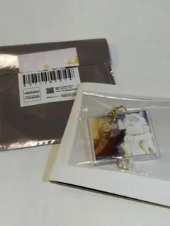 鬼滅の刃　隊士百景　アクリルチャーム　我妻善逸