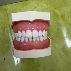 Item thumbnail for item cfccc173-8fb8-4651-a508-82355dba9ee4