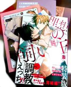 A*i様 職場のイケメン営業は理想の飼い主様2　特装版