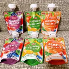 はじめてのベビーフード 3種6袋セット