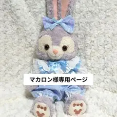 マカロン様専用ページ❁⃘*.゜