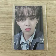 SEVENTEEN CARAT LAND 2023 エスクプス