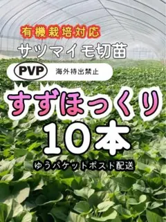 サツマイモ切苗 ゆきこまち 10本 - メルカリ