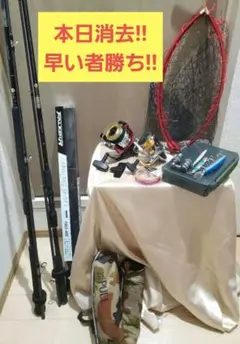 引退品 ジグ 大量 有名メーカー品多数 ショア ライトショア SJ LSJ