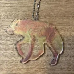 どうぶつのホネ アクリルキーチェーン タテガミオオカミ