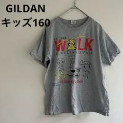ギルダン バックプリント Ｔシャツ クルーネック半袖 160 灰 キッズ 子供のサムネイル
