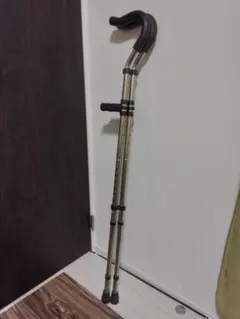 Item thumbnail for item fdb873bc-9a31-477e-a13c-263ae533928f