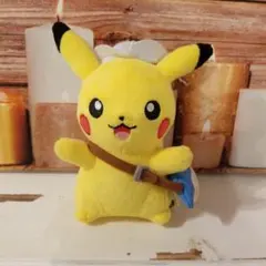 ピカチュウ　ぬいぐるみ　(ホエルコ)