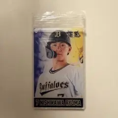 西川龍馬　コロチャレ