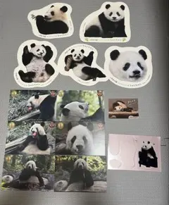 2026年最新】シャンシャン ポストカードブックの人気アイテム - メルカリ