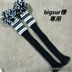 Item thumbnail for item 471dd594-f133-46bf-a938-7d6cb915c3f2