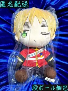 2026年最新】ヘタリアBIGぬいぐるみの人気アイテム - メルカリ