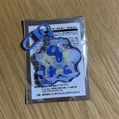 ナムコ テラパゴス アクリルキーホルダー Pokémon Fancy Time