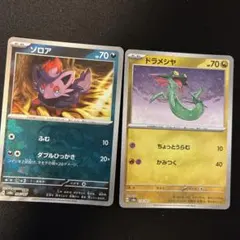 テラスタルフェス　ゾロア、ドラメシア　マスターボールミラー