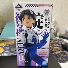 一番くじ 新世紀エヴァンゲリオン 30th Anniversary B賞