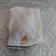 Item thumbnail for item a2fd8fbc-eceb-4434-9e4f-424816aae328