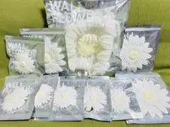 Item thumbnail for item c981289a-6efa-4355-a168-d224b39a6646