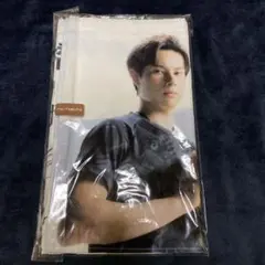 男子バレー スポーツ選手