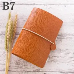 Item thumbnail for item ef1e6d9f-a346-48cc-8ed6-b887f3485f3e