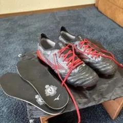 2025年最新】モレリアネオ3 ラモスの人気アイテム - メルカリ