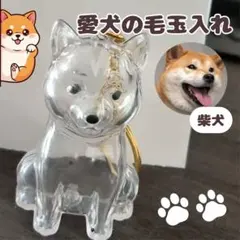 Item thumbnail for item 7a92019e-7b67-43cd-93bc-978b1775d99b