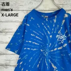 古着 GILDAN ギルダン Tシャツ フラグロ テキーラ ブリーチ 青 XL