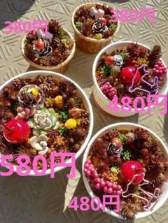 そのまま飾れる寄せ植え多肉Ꮚ ᐝ鉢ごと発送