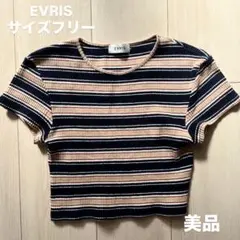 【美品】EVRIS ボーダーリブトップス 半袖 FREEサイズのサムネイル