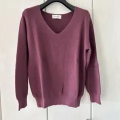 オペークドットクリップ Vネック サラッとニット パープル 38 M