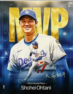 2025 mlb MVP 大谷翔平　2枚組★261