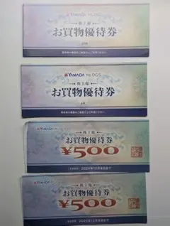 ヤマダ電機　株主優待　お買物優待券 8000円分