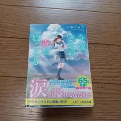 今夜、きみの声が聴こえる [2]