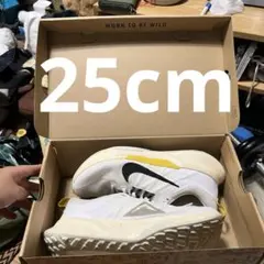 Item thumbnail for item 8963bb69-452c-46b2-96d1-33fb0cd31472