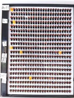 Item thumbnail for item e804d937-5ca6-48f7-a599-abf610608172