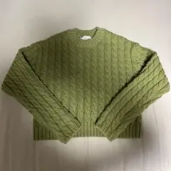 ZARA ショート丈ニット