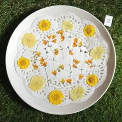 Item thumbnail for item 01198fc0-aa83-431d-864a-ef532c34c295