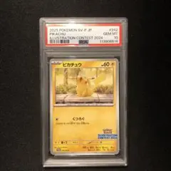 【PSA10】ピカチュウ イラストレーションコンテスト 2024 熱風 プロモ