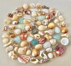 Item thumbnail for item d1fe42eb-4ecb-461d-8a49-2c188515933f