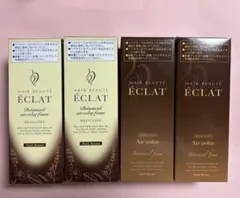 ヘアボーテ エクラ ボタニカルエアカラーフォーム　ダークブラウン80g×4本のサムネイル