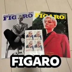 TREASURE ヨシ FIGARO madame 雑誌 フィガロ 中国 - メルカリ