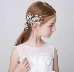 Item thumbnail for item e75317c4-91ab-440e-b232-09f815842f08