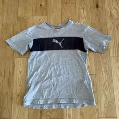 PUMA140