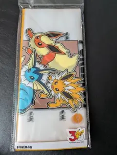 ポケモン 30周年 手提げポリ袋 スリーコインズ