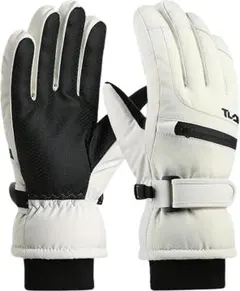 Item thumbnail for item 3dece1b6-88e6-4ccb-b44f-93884e70fda3