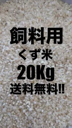 くず米 しいな 20kg 鳥のエサ えさ 餌 鳥 野鳥 - メルカリ