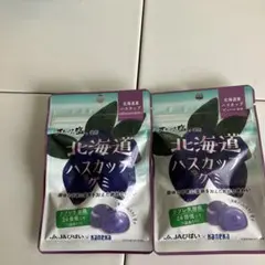 北海道ハスカップグミ 2袋セットのサムネイル