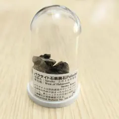 Vaca Muerta 隕石 98.0g チリ産 - メルカリ