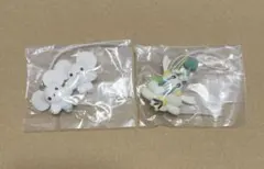 ポケモン ワッカネズミ フラエッテ